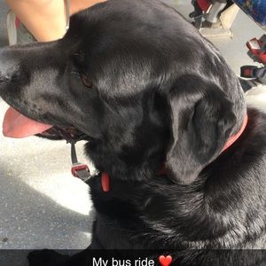 Meet your Posher, Taylor